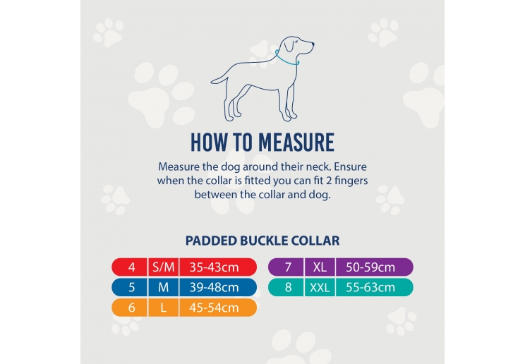 Padded Viva Collar Blue 39-48cm Size 5