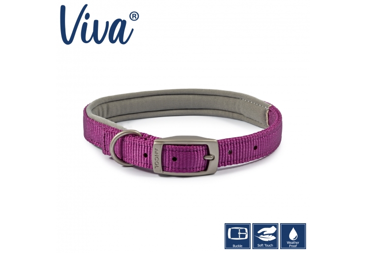 Padded Viva Collar Purple 45-54cm Size 6