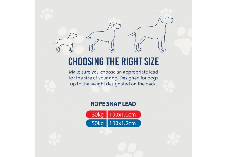 Viva Rope Lead Reflective Pink 1.07mx12mm