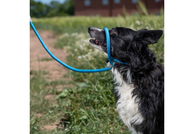 Viva Rope Slip Reflective Black 1.5mx8mm