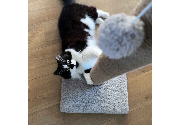 XL 2-part Teddy Fleece Scratch Post (Stone)