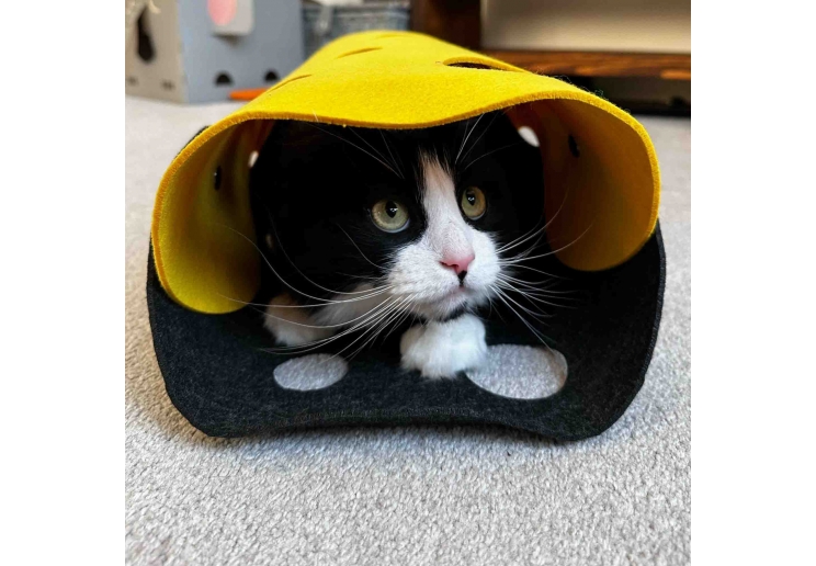 Cat Tunnel Mustard & Grey