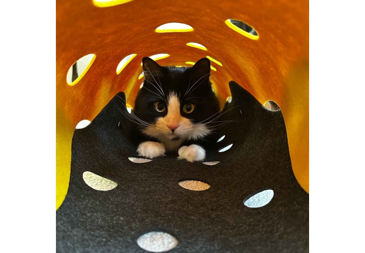 Cat Tunnel Mustard & Grey