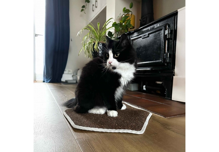 Hanging Cat Scratcher