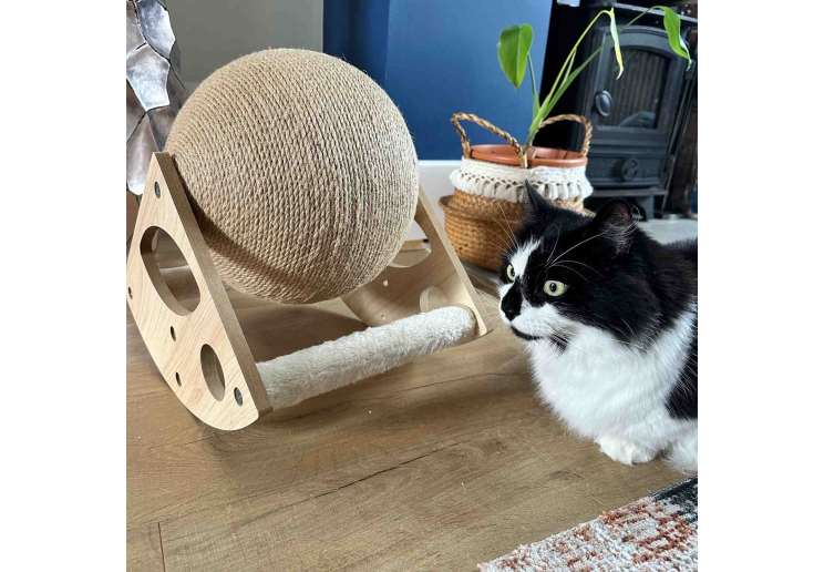 Large Globe Cat Scratcher