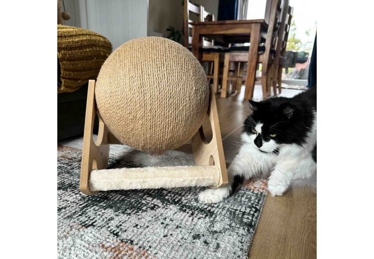 Large Globe Cat Scratcher