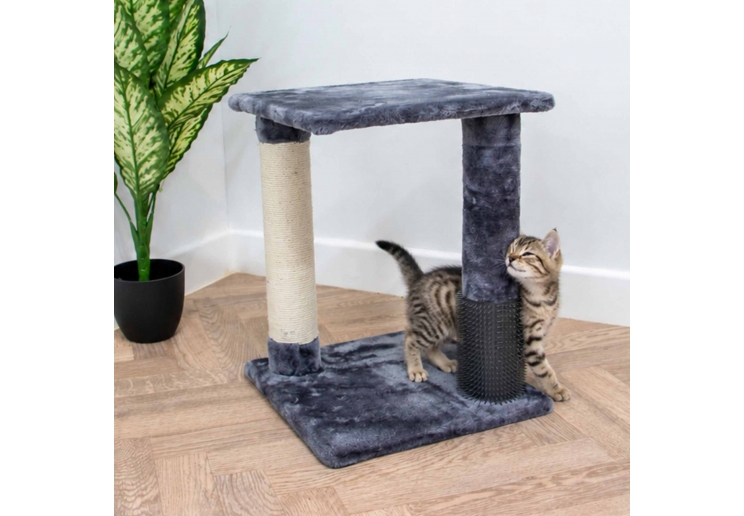 2 Pillar Grooming & Scratch Post