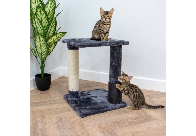 2 Pillar Grooming & Scratch Post