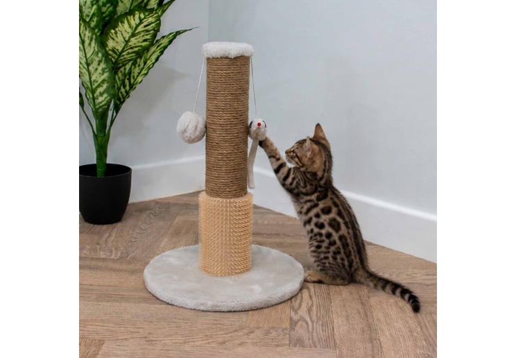 Pompom & Mouse Scratch Post