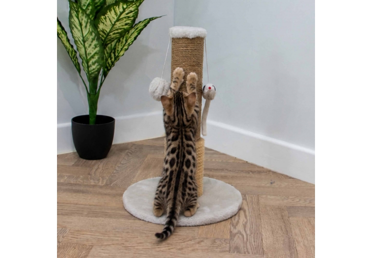 Pompom & Mouse Scratch Post