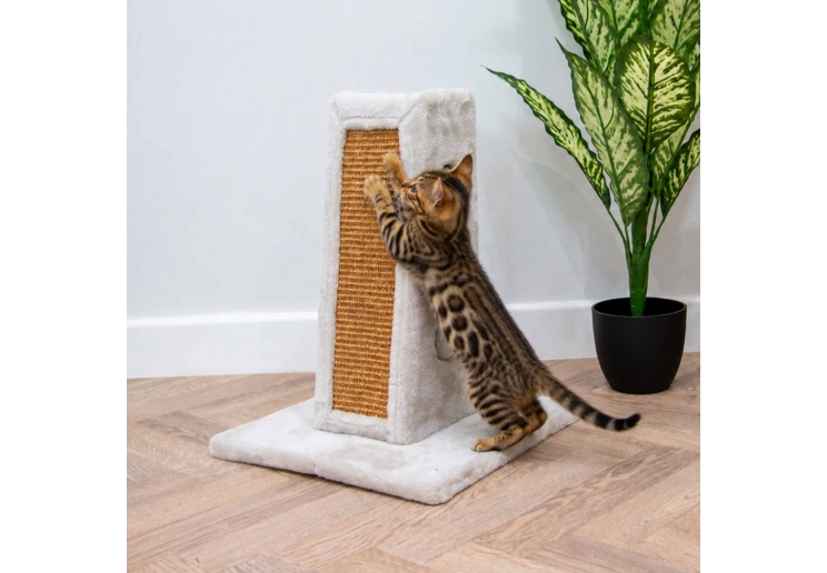 Scratch Tower