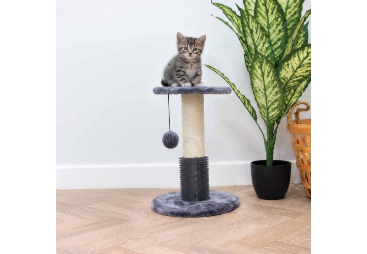 Grooming Scratch Post