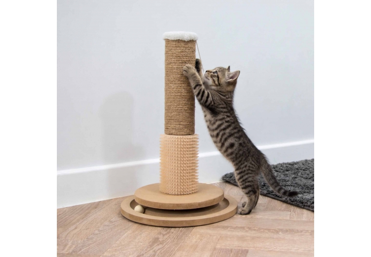 Enrichment & Grooming Scratch Post