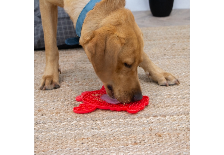 Orva Lobster Lick Mat