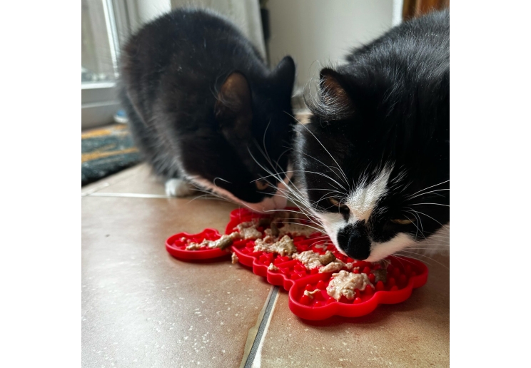 Orva Lobster Lick Mat