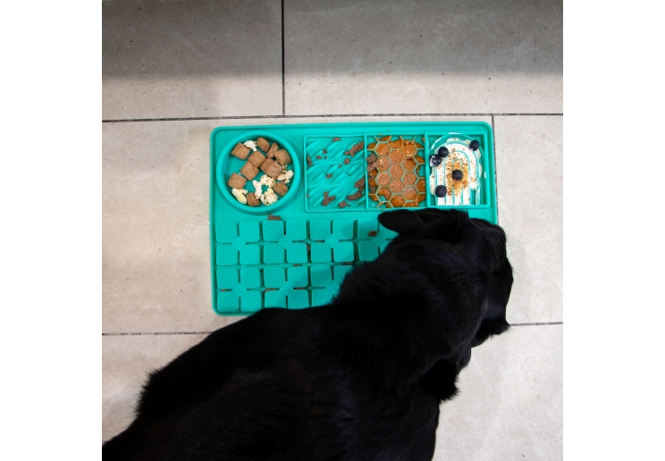 Orva Suction Cup Slow Feeding Station