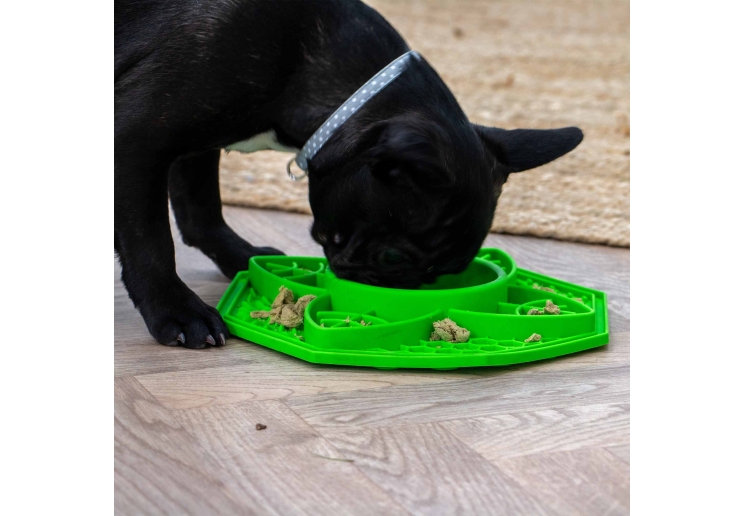 Orva Suction Cup Slow Feeder (Leaf Design)