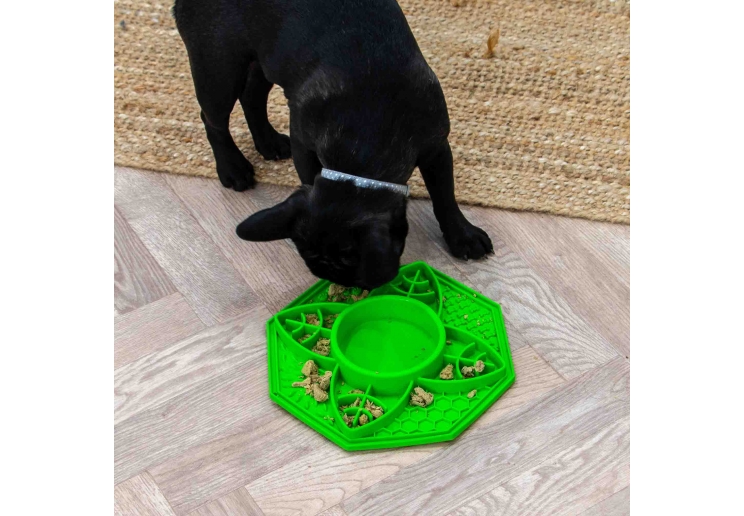 Orva Suction Cup Slow Feeder (Leaf Design)