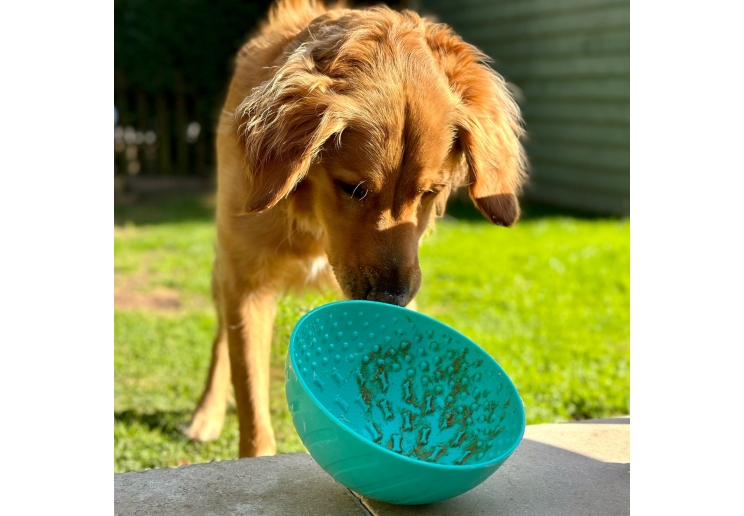Orva Enrichment Wobble Bowl