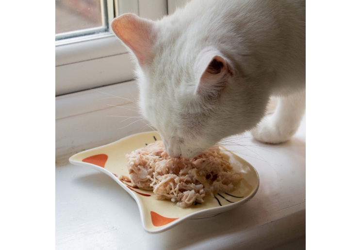 Cat Shaped Dish