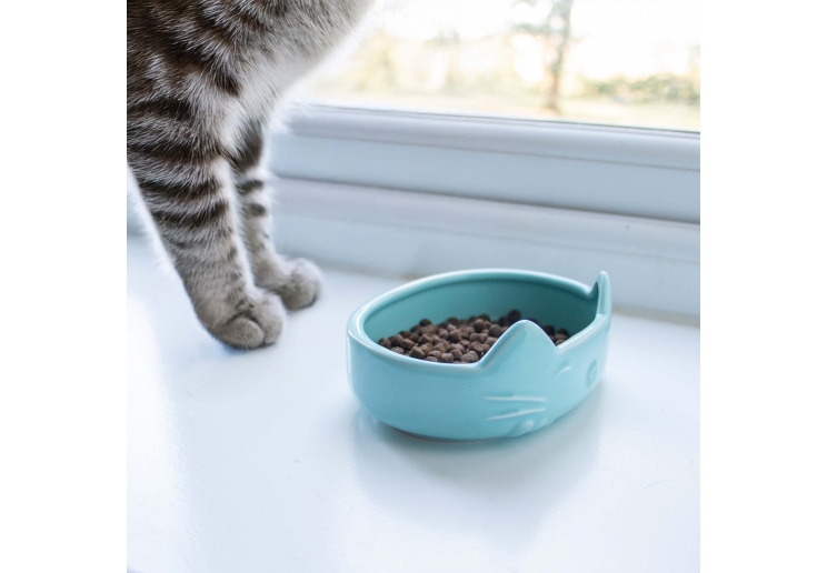 Raised Cat Ear Dish (Pastel - Mixed Pack)