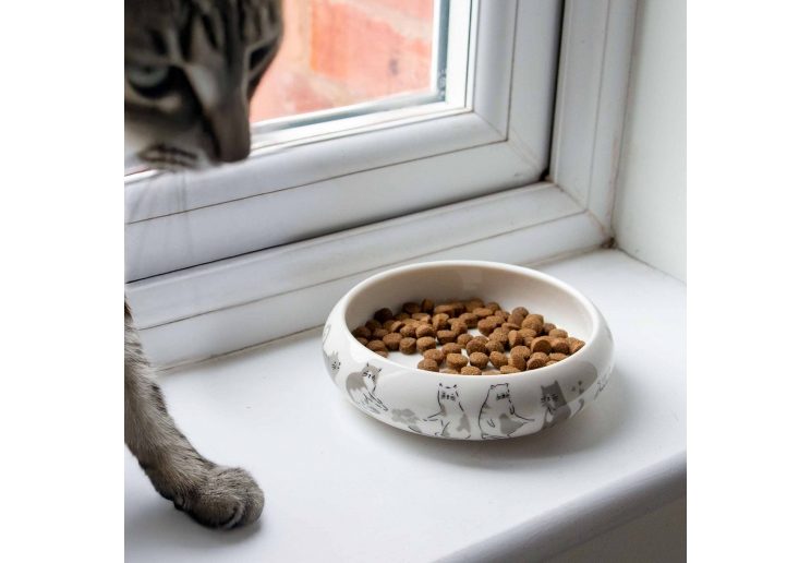 Curved Edge Cat Dish (Patterned)