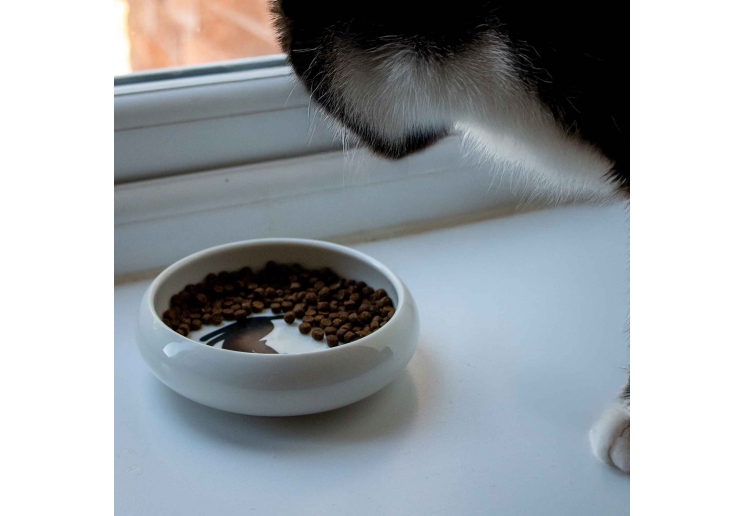 Curved Edge Cat Dish
