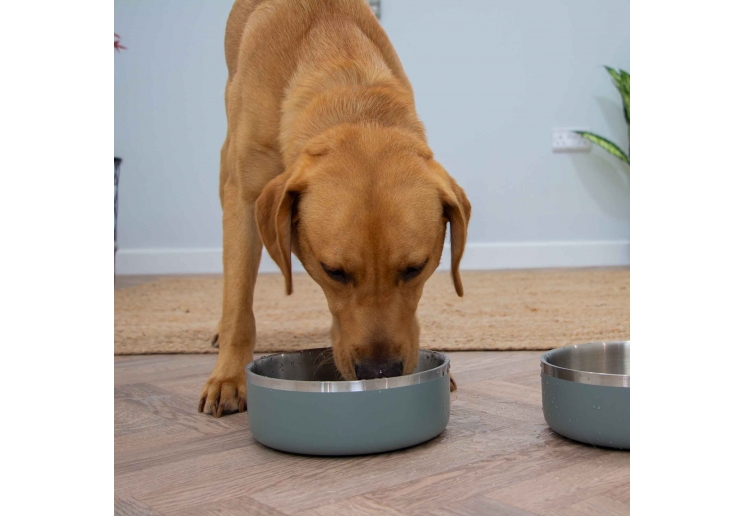 Sage Stainless Steel Bowl 2460ml