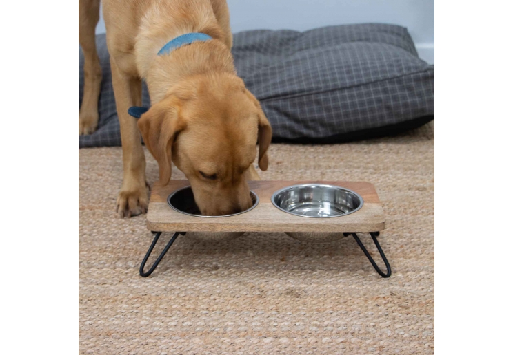 Raised Feeder 880ml x2