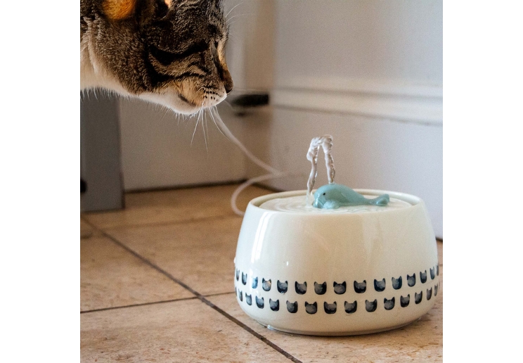 Whale Cat Fountain