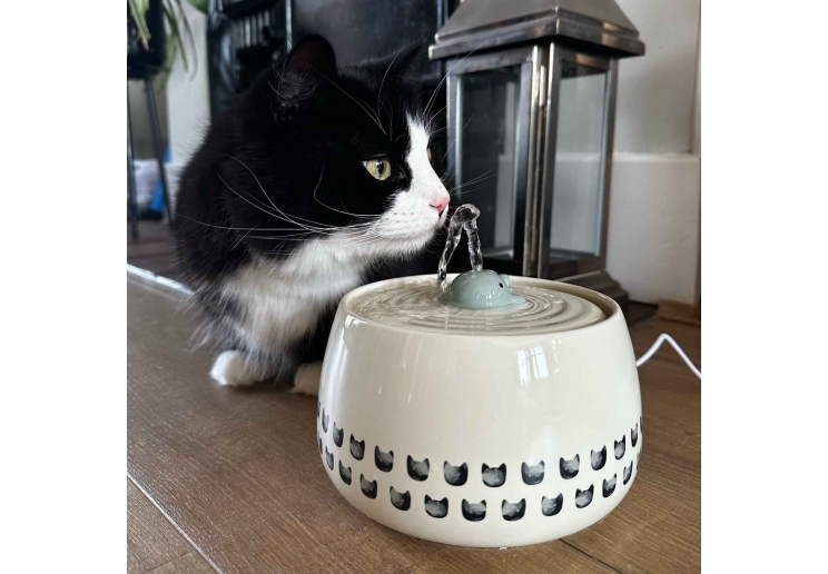 Whale Cat Fountain