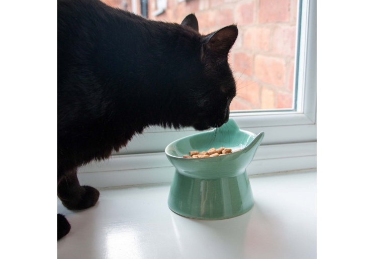 Raised Cat Feeder Sage Green