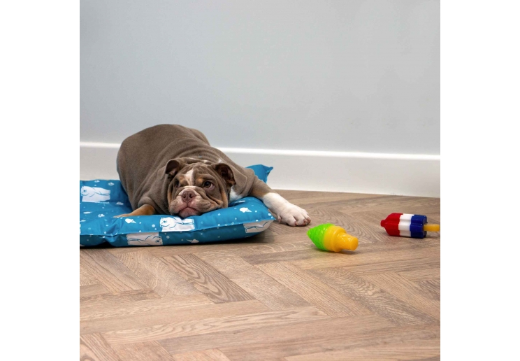 Ice Paws Large Ice Lolly Cooling Toys