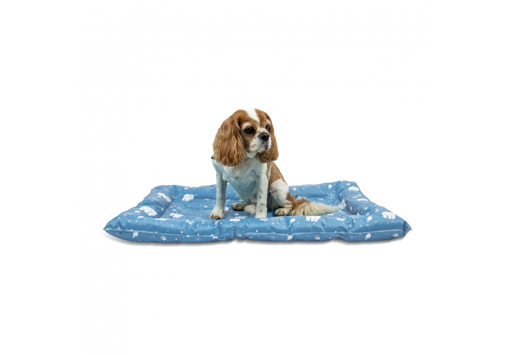 Ice Paws Cooling Bed Large 68cm X 91cm
