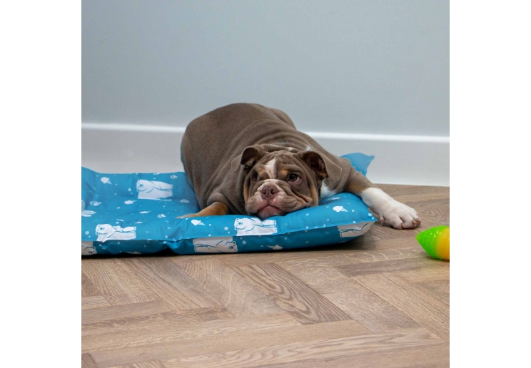 Ice Paws Cooling Bed Large 68cm X 91cm
