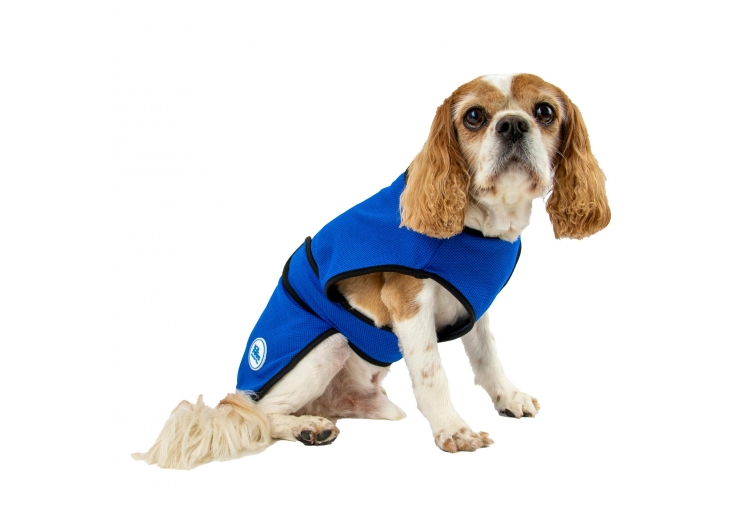 Dog Cooling Coat XS