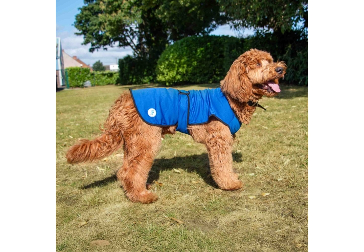 Dog Cooling Coat S