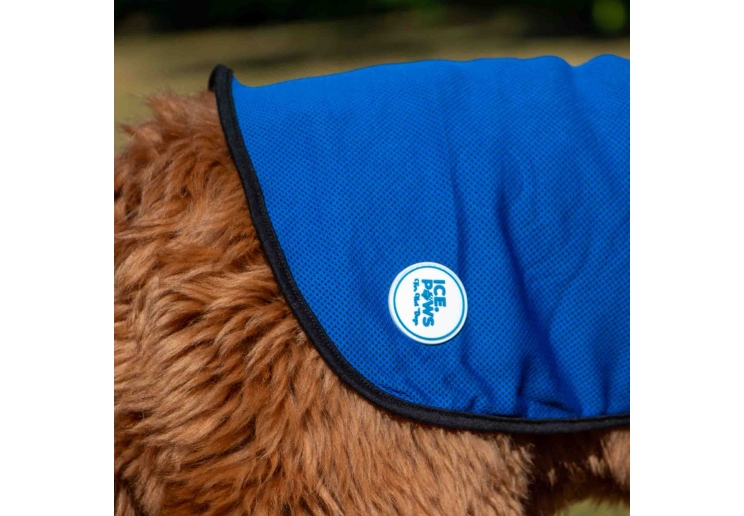 Dog Cooling Coat S