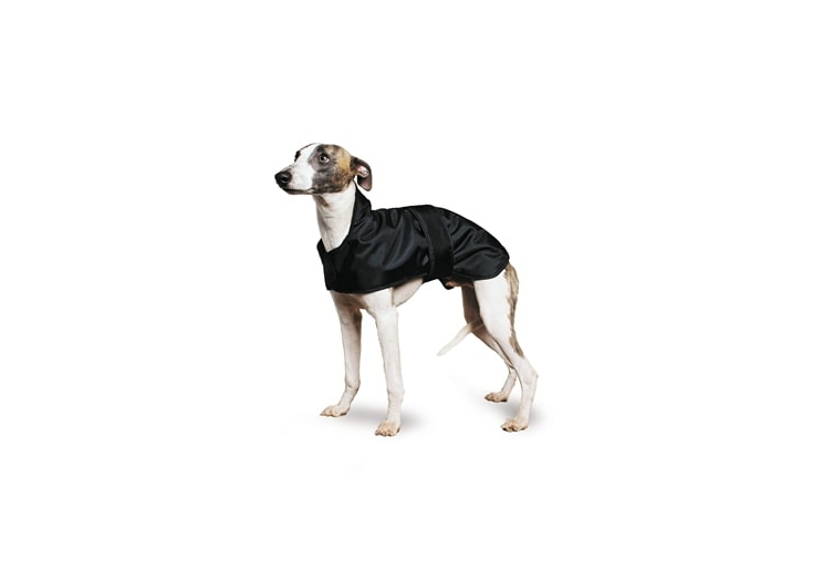 Hound Dog Coat Black 70cm