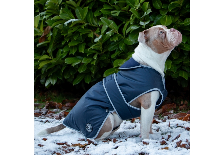 Stormguard Dog Coat Navy M