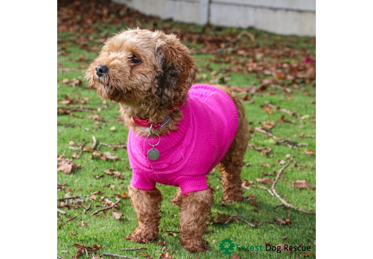 Pink Cable Knit Jumper S
