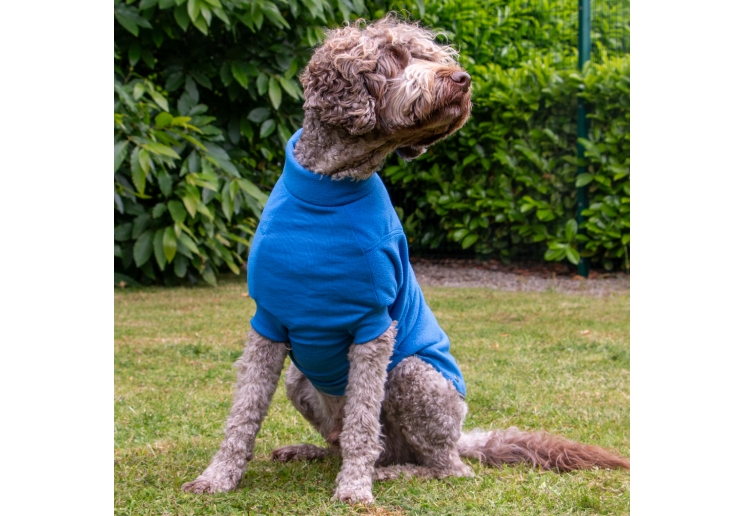 Polar Fleece Blue M