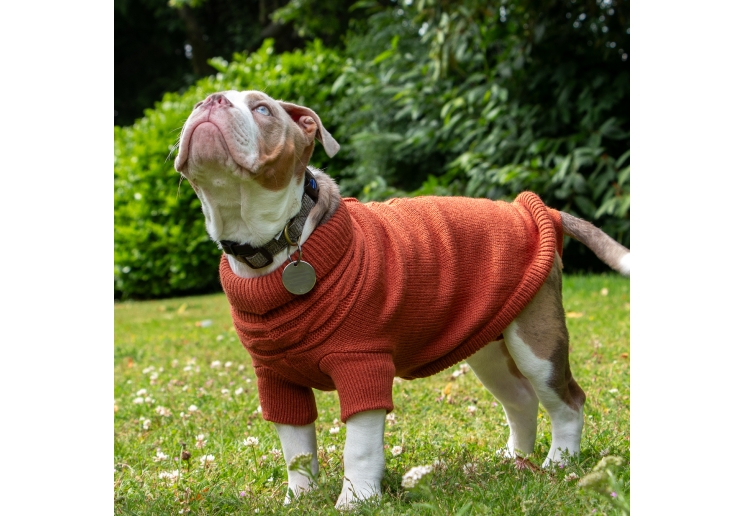 Terracotta Cable Knit Jumper S