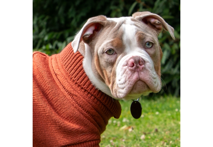 Terracotta Cable Knit Jumper S