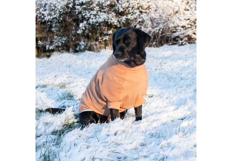 Snug Fit Polar Fleece Camel S