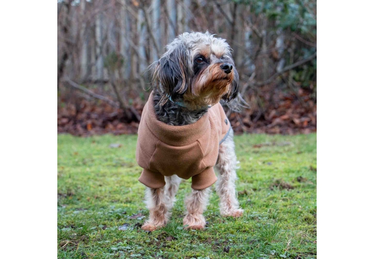 Snug Fit Polar Fleece Camel S