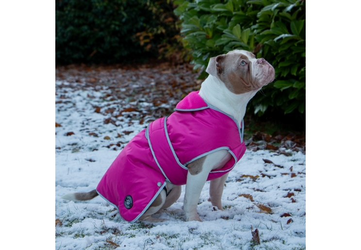 Stormguard Dog Coat Pink M