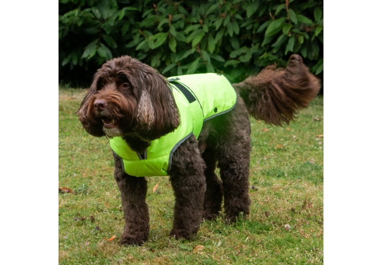Stormguard Dog Coat Hi-Vis M