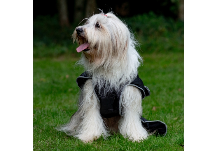 Stormguard Dog Coat Black S