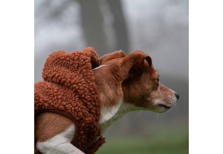 Teddy Sherpa Fleece Terracotta XS